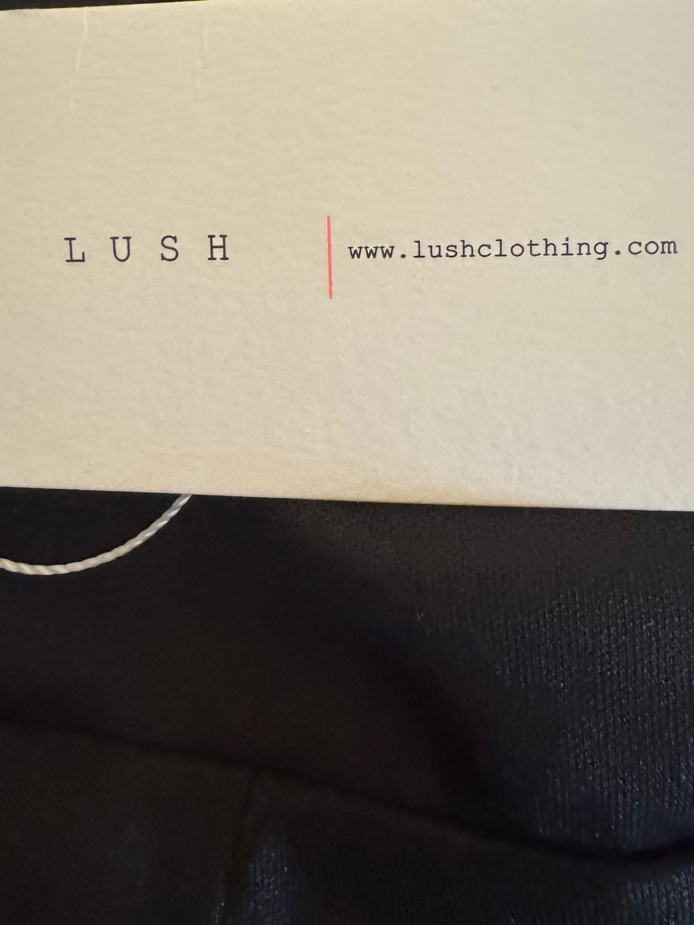 LUSH Clothing Women's Black and Red Velvet Mini Dress NWT Size Small - Picture 4 of 4